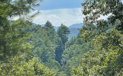 Lot 71 Fires Creek Cove, HAYESVILLE, NC 28904