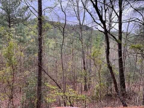 54,55,58 Choctaw Ridge Trail, MURPHY, NC 28906