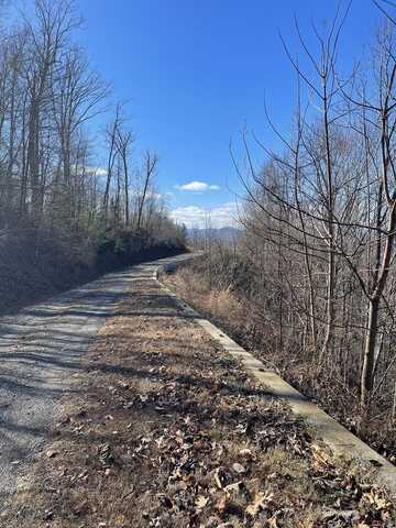 Lot #53M Ridges Overlook, HAYESVILLE, NC 28904