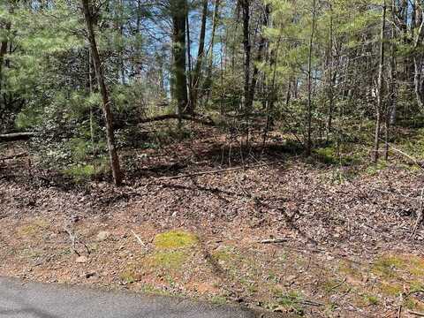 Lot 4E The Woodlands, HAYESVILLE, NC 28904