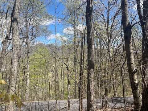 Lot 31A Mountain Harbour Drive, HAYESVILLE, NC 28904