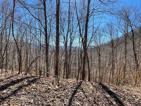 58J Indian Trail, HAYESVILLE, NC 28904