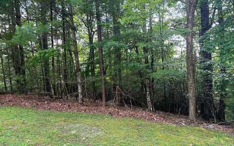 Lot 40 Double Knobs, HAYESVILLE, NC 28904