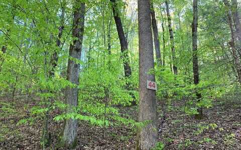 Lot 44 Fires Creek Cove, HAYESVILLE, NC 28904