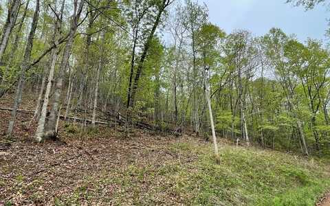 Lot 31 Nelson Ridge, HAYESVILLE, NC 28904