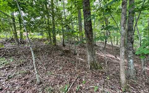 Lot 3 Morgan Creek, YOUNG HARRIS, GA 30582