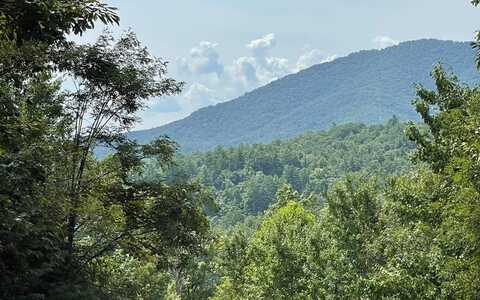 Lot 72 Fires Creek Cove, HAYESVILLE, NC 28904