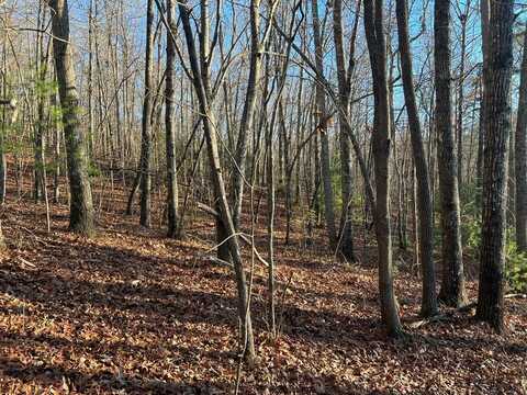 Lot 54 Penlands Indian Trl, HAYESVILLE, NC 28904