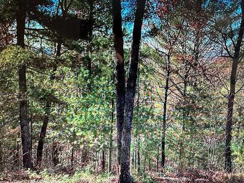 1/26 Thundering Hills, MURPHY, NC 28906