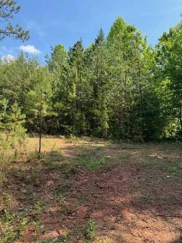 Lot 7 Paradise Mountain, MARBLE, NC 28905