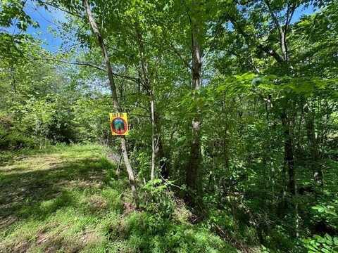 Lot 15 Paradise Mountain, MARBLE, NC 28905