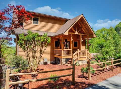 156 Trillium Heights Trace, BRASSTOWN, NC 28902