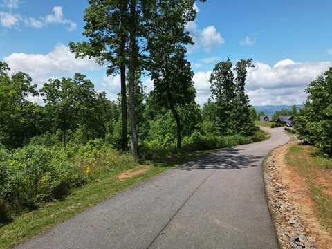 Lot 29 Paw Paw Trail, MURPHY, NC 28906