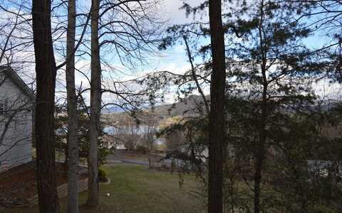 Lot 4 Brer Fox Ridge, HIAWASSEE, GA 30546