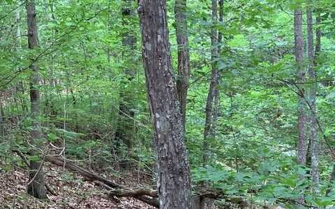 Lot 18 Bruce Mountain, BLAIRSVILLE, GA 30512