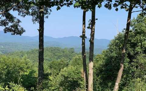 Lot 7 White Oak Drive, HAYESVILLE, NC 28904