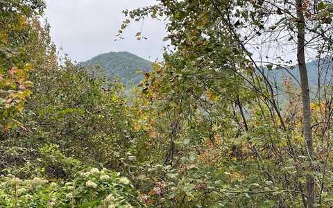 Lot 27A Trillium Heights, HAYESVILLE, NC 28904