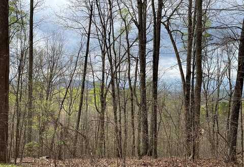 Lot 9B Grandview Drive, HAYESVILLE, NC 28904