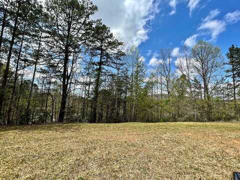 TBD Cattail Ln, MURPHY, NC 28906