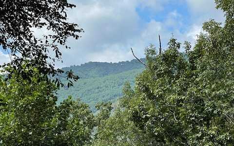 Lot 73 Fires Creek Cove, HIAWASSEE, NC 28904