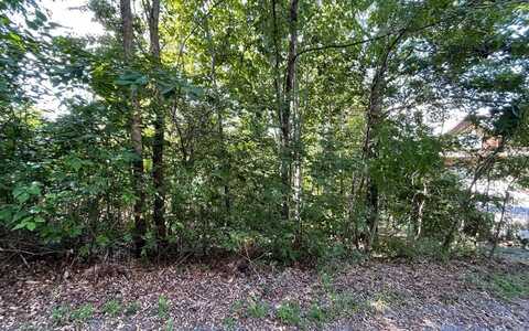 Lot 17 Ramey Mountain, HIAWASSEE, GA 30546