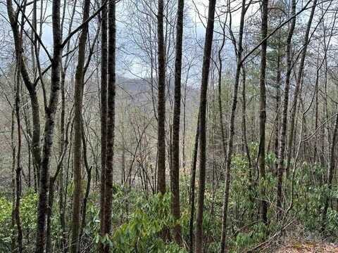 Lot 16 Stillwind Dr, TOPTON, NC 28781