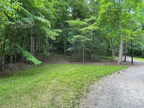 00 Collett Woods Trail, ANDREWS, NC 28901