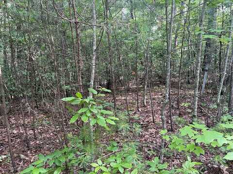 Lot 5 Sherwood Forest, MURPHY, NC 28906