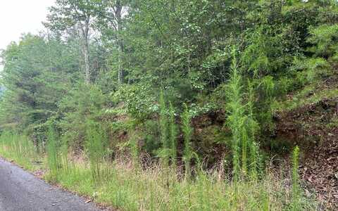 Lot 8 The Preserve, BRASSTOWN, NC 28902