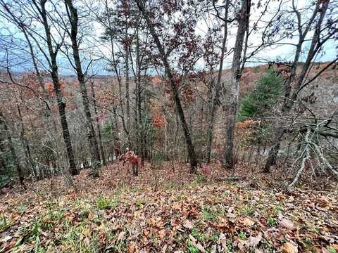 Lot 449 Mountain Tops Road, BLUE RIDGE, GA 30513