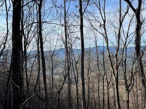 Lot 73 Hidden Treasure Estate, MURPHY, NC 28906