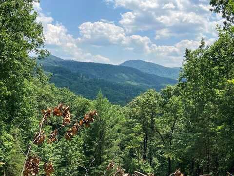 14 View Ridge Trail, MURPHY, NC 28906