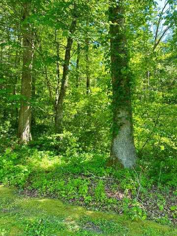 00 Deer Run - Lot 21, ROBBINSVILLE, NC 28771