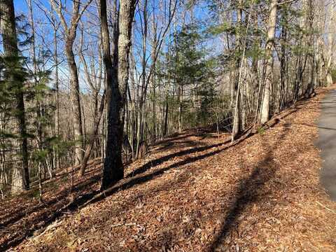 Lot 31 High Ridge Road, MURPHY, NC 28906