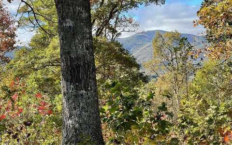 Lot 18 Harris Ridge Rd, YOUNG HARRIS, GA 30582