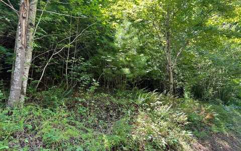 Lot 69 Fires Creek Cove, HAYESVILLE, NC 28904