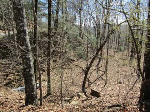 Lot 27 Mission Ridge, HAYESVILLE, NC 28904