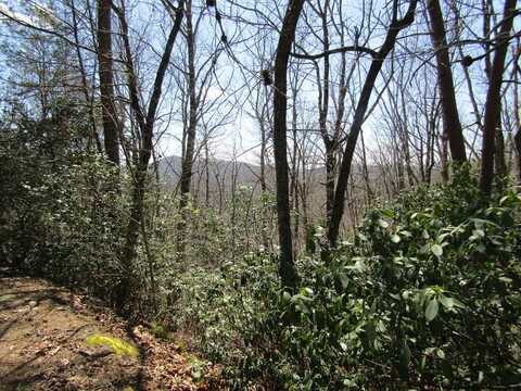 Lot 27 Mission Ridge, HAYESVILLE, NC 28904