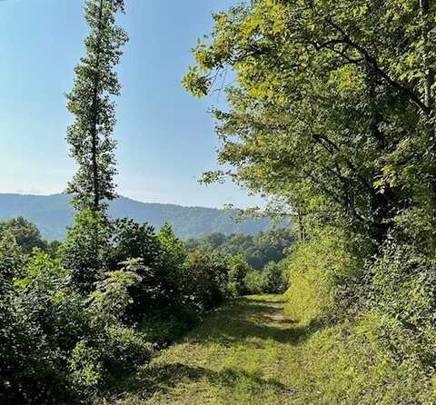 00 Willow Lane, ROBBINSVILLE, NC 28771