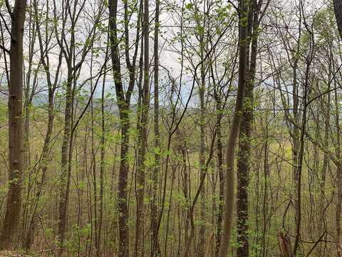 76 Lot Ten Point Trail, MURPHY, NC 28906