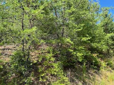 Lot 12 Shelton Springs, HAYESVILLE, NC 28904