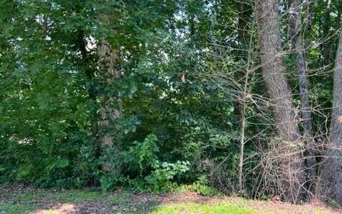 Lot 5 Chancey Drive, HIAWASSEE, GA 30546