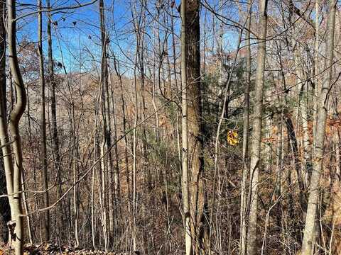 49J Cherokee Trail, HAYESVILLE, NC 28904