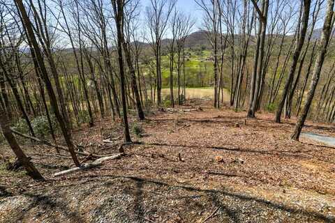 17M Ridges Overlook, HAYESVILLE, NC 28904