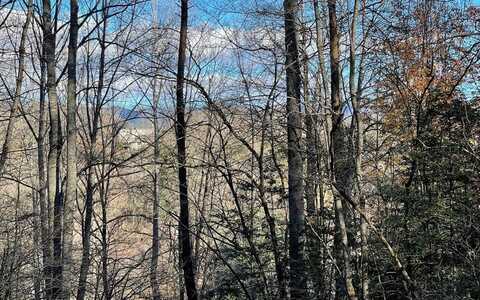 Lot 14 Kilpatrick Point Terrace, HAYESVILLE, NC 28904