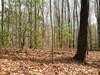 Lot 25 N Laurel Mountain drive, BRASSTOWN, NC 28902