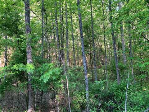 4 Hunter Valley Rd, MURPHY, NC 28906