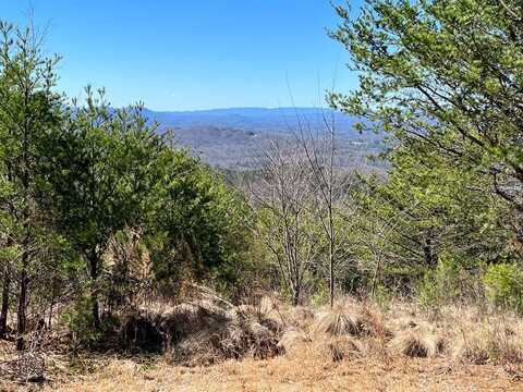 Lot 21 Patriot Ridge, MURPHY, NC 28906