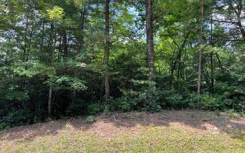 Lot 32 Fires Creek Cove, HAYESVILLE, NC 28904