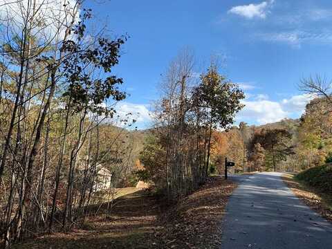 25 Mountain Knoll Ln, WARNE, NC 28909